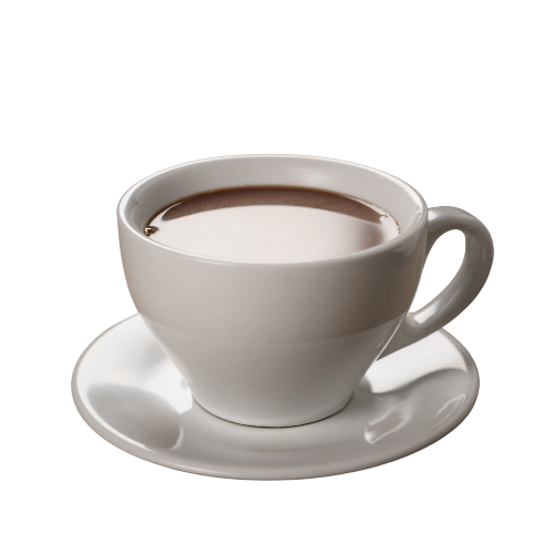 Chocolate Flavoured Drink - Bottle